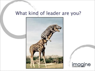 What kind of leader are you?
 