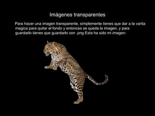 Imágenes transparentes
Para hacer una imagen transparente, simplemente tienes que dar a la varita
magica para quitar el fondo y entonces se queda la imagen, y para
guardarlo tienes que guardarlo con .png Esta ha sido mi imagen:
 