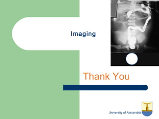 University of Alexandria
Imaging
Thank You
 
