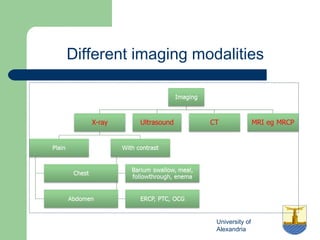 University of
Alexandria
Different imaging modalities
 