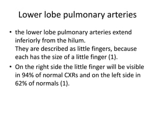 Lower lobe pulmonary arteries
• the lower lobe pulmonary arteries extend
inferiorly from the hilum.
They are described as little fingers, because
each has the size of a little finger (1).
• On the right side the little finger will be visible
in 94% of normal CXRs and on the left side in
62% of normals (1).
 