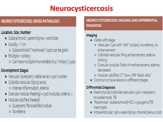 Neurocysticercosis
 