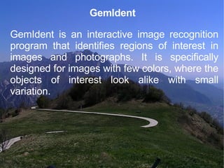 GemIdent GemIdent is an interactive image recognition program that identifies regions of interest in images and photographs. It is specifically designed for images with few colors, where the objects of interest look alike with small variation.  
