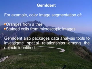 GemIdent For example, color image segmentation of: Oranges from a tree  Stained cells from microscopic images  GemIdent also packages data analysis tools to investigate spatial relationships among the objects identified.  