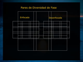 g Enfocada  Desenfocada Pares de Diversidad de Fase 