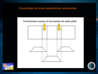 Ensamblaje de áreas isoplanáticas restauradas Transiciones suaves en los bordes de cada patch  