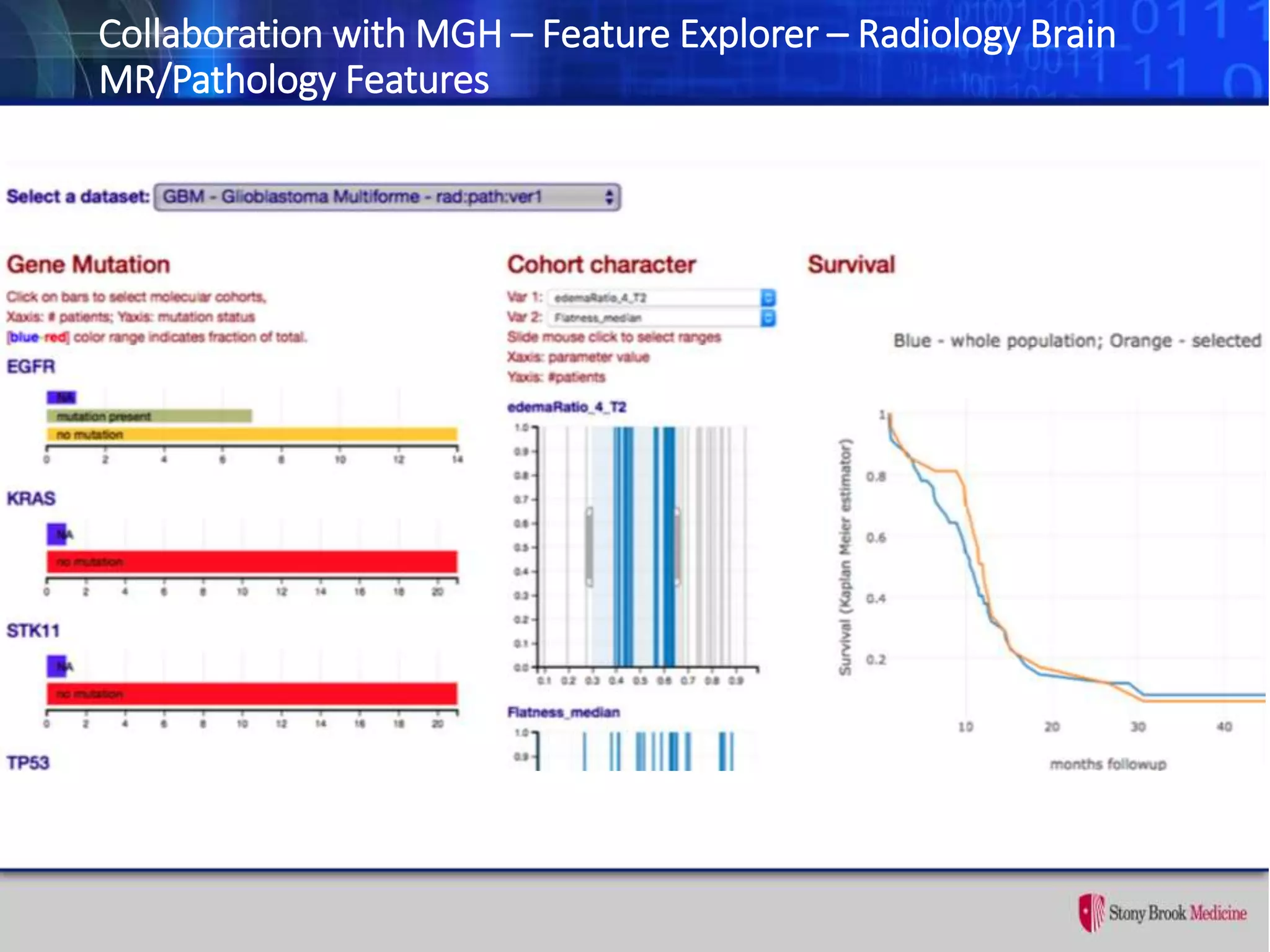 Collaboration with MGH – Feature Explorer – Radiology Brain
MR/Pathology Features
 