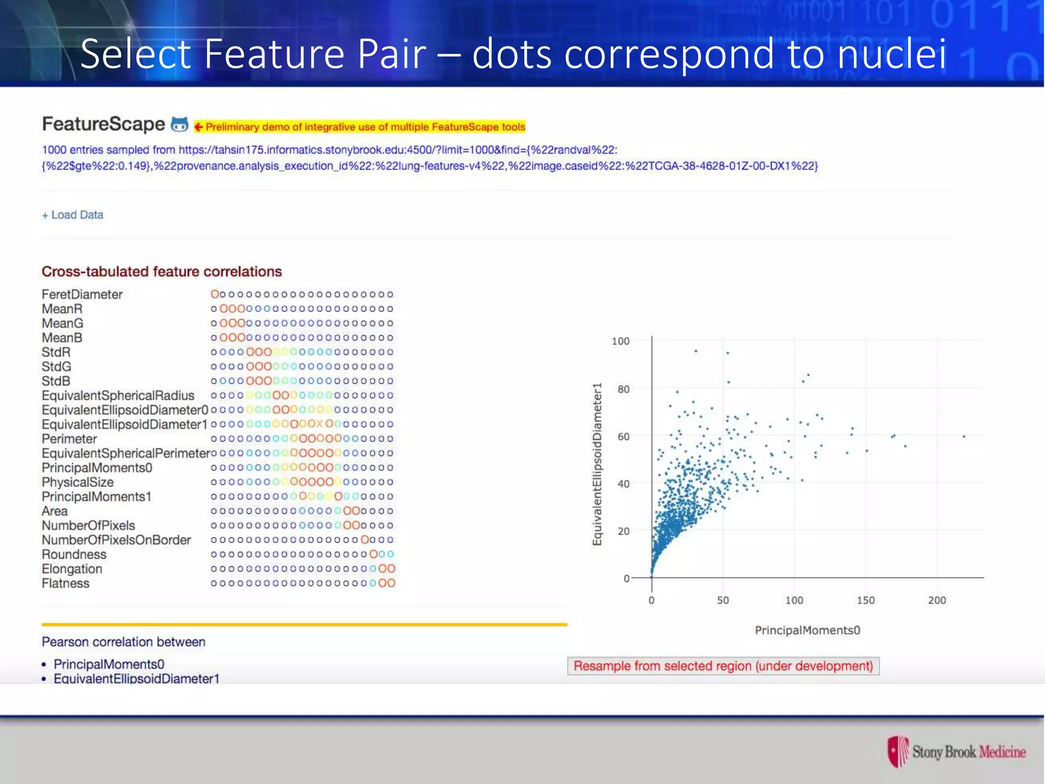 Select Feature Pair – dots correspond to nuclei
 