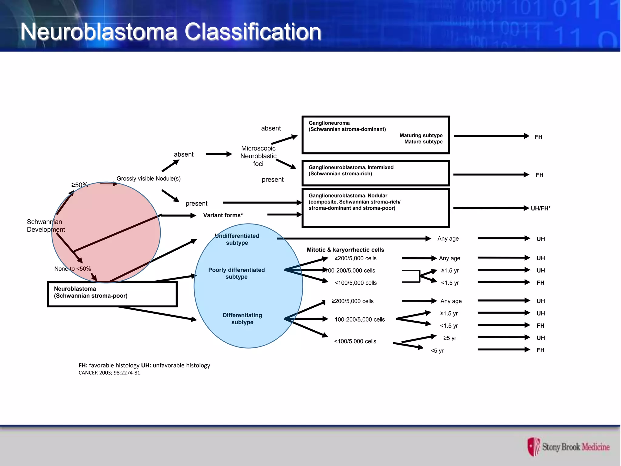 Neuroblastoma Classification
FH: favorable histology UH: unfavorable histology
CANCER 2003; 98:2274-81
<5 yr
Schwannian
Development
≥50%
Grossly visible Nodule(s)
absent
present
Microscopic
Neuroblastic
foci
absent
present
Ganglioneuroma
(Schwannian stroma-dominant)
Maturing subtype
Mature subtype
Ganglioneuroblastoma, Intermixed
(Schwannian stroma-rich)
FH
FH
Ganglioneuroblastoma, Nodular
(composite, Schwannian stroma-rich/
stroma-dominant and stroma-poor) UH/FH*
Variant forms*
None to <50%
Neuroblastoma
(Schwannian stroma-poor)
Poorly differentiated
subtype
Undifferentiated
subtype
Differentiating
subtype
Any age UH
≥200/5,000 cells
Mitotic & karyorrhectic cells
100-200/5,000 cells
<100/5,000 cells
Any age
≥1.5 yr
<1.5 yr
UH
UH
FH
≥200/5,000 cells
100-200/5,000 cells
<100/5,000 cells
Any age UH
≥1.5 yr
<1.5 yr
≥5 yr
UH
FH
UH
FH
 