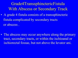 Imaging of Anal Fistulae and perianal abscesses | PPT
