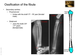Imaging anatomy injuries of the leg and foot | PPT | Free Download