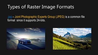 Common Raster Image Types Examples Imaging and design for online | PPTX