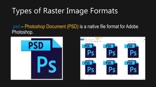 Print Rasters Types Imaging and design for online | PPTX