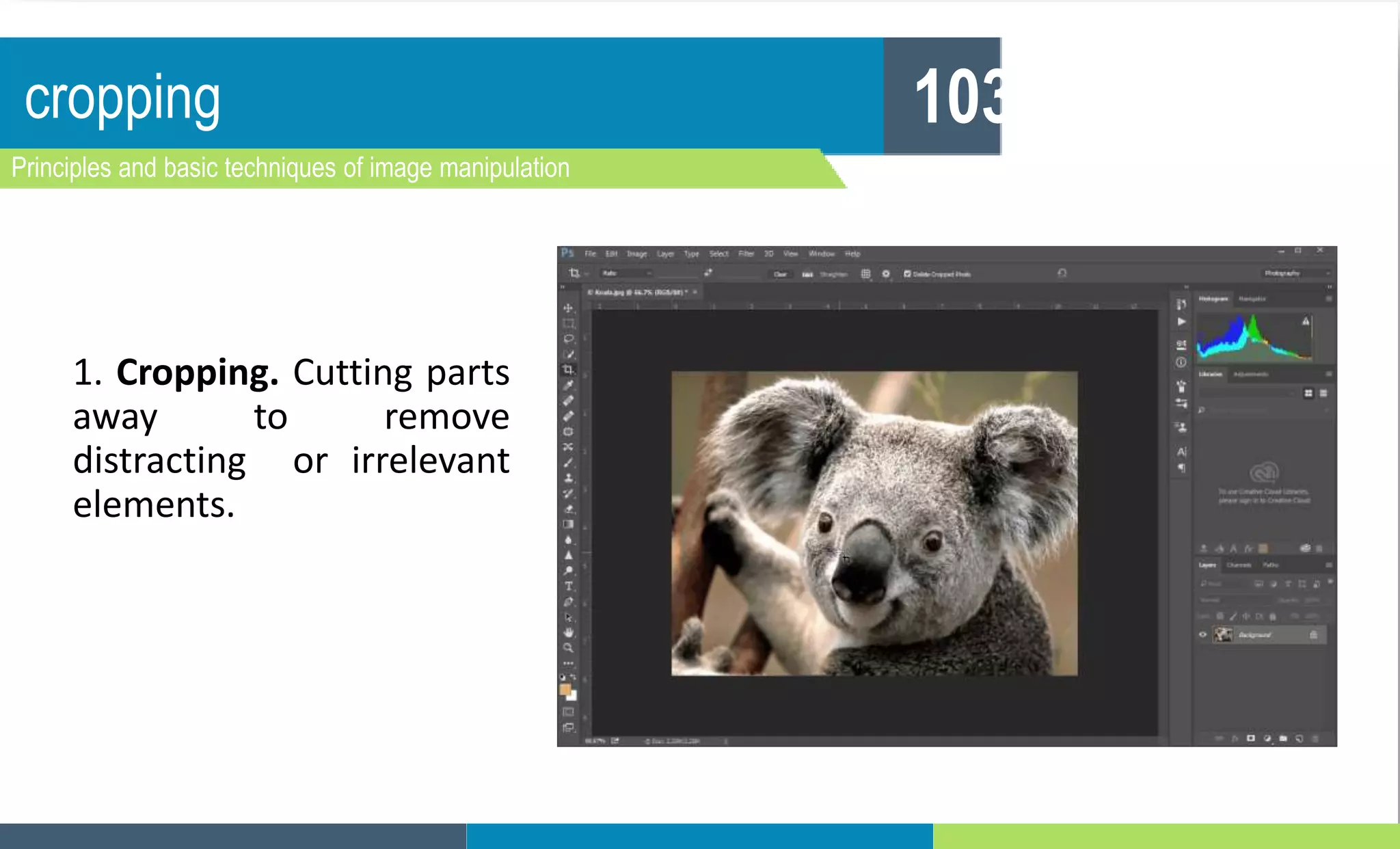 cropping
Principles and basic techniques of image manipulation
103
1. Cropping. Cutting parts
away to remove
distracting or irrelevant
elements.
 