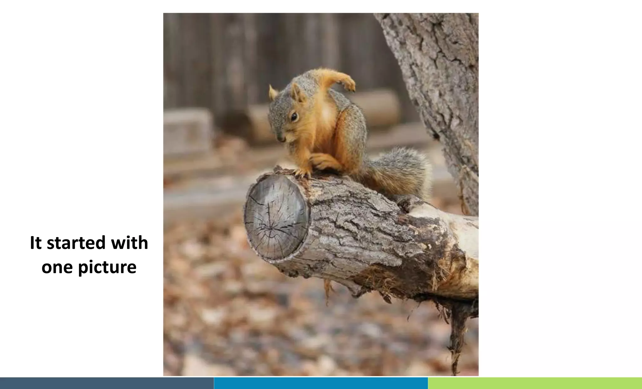 It started with
one picture
 