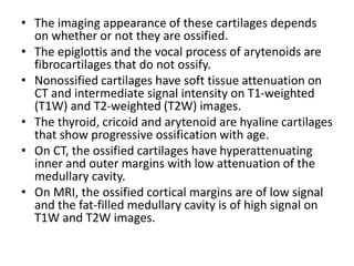 • The imaging appearance of these cartilages depends
on whether or not they are ossified.
• The epiglottis and the vocal p...