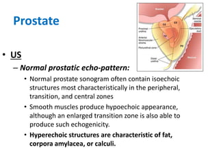 Imaging endocrine and gu copy | PPTX