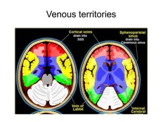 Venous territories
 