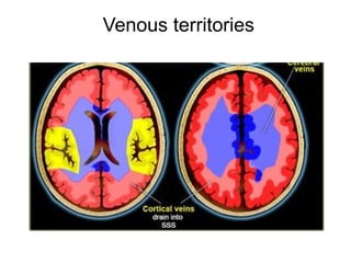 Venous territories
 
