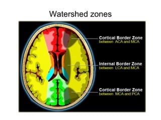 Watershed zones
 