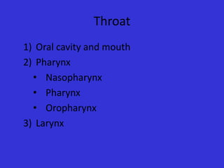 Throat
1) Oral cavity and mouth
2) Pharynx
• Nasopharynx
• Pharynx
• Oropharynx
3) Larynx

 
