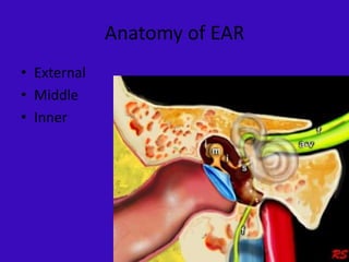 Anatomy of EAR
• External
• Middle
• Inner
 