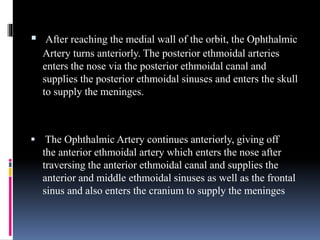  After reaching the medial wall of the orbit, the Ophthalmic
Artery turns anteriorly. The posterior ethmoidal arteries
enters the nose via the posterior ethmoidal canal and
supplies the posterior ethmoidal sinuses and enters the skull
to supply the meninges.
 The Ophthalmic Artery continues anteriorly, giving off
the anterior ethmoidal artery which enters the nose after
traversing the anterior ethmoidal canal and supplies the
anterior and middle ethmoidal sinuses as well as the frontal
sinus and also enters the cranium to supply the meninges
 