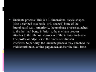  Uncinate process: This is a 3-dimensional sickle-shaped
(also described as a hook- or L-shaped) bone of the
lateral nasal wall. Anteriorly, the uncinate process attaches
to the lacrimal bone; inferiorly, the uncinate process
attaches to the ethmoidal process of the inferior turbinate.
The posterior edge lies in the hiatus semilunaris
inferioris. Superiorly, the uncinate process may attach to the
middle turbinate, lamina papyracea, and/or the skull base.
 