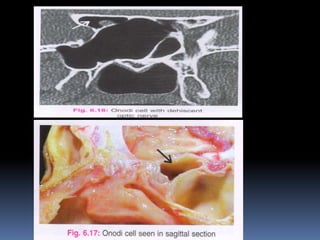 -drdhiru456@gmail.com
 