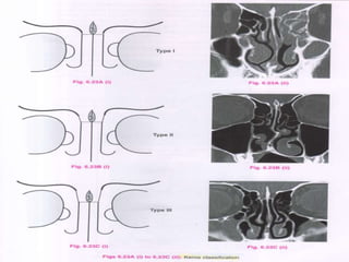 -drdhiru456@gmail.com
 