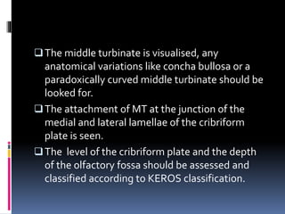 The middle turbinate is visualised, any
anatomical variations like concha bullosa or a
paradoxically curved middle turbinate should be
looked for.
The attachment of MT at the junction of the
medial and lateral lamellae of the cribriform
plate is seen.
The level of the cribriform plate and the depth
of the olfactory fossa should be assessed and
classified according to KEROS classification.
 