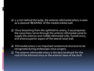  2-3 mm behind the bulla, the anterior ethmoidal artery is seen
as a classical ‘BEAKING’ of the medial orbital wall.
 Once branching from the ophthalmic artery, it accompanies
the nasociliary nerve through the anterior ethmoidal canal to
supply the anterior and middle ethmoidal cells, frontal sinus,
and anterosuperior aspect of the lateral nasal wall.
 Ethmoidal artery is an important anatomical structure to be
recognized during endoscopic sinus surgery.
 The anterior ethmoidal artery is the best landmark for the
roof of the ethmoid sinus or the anterior base of the skull.
 
