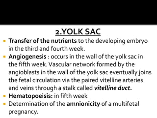 2.YOLK SAC
 Transfer of the nutrients to the developing embryo
in the third and fourth week.
 Angiogenesis : occurs in the wall of the yolk sac in
the fifth week.Vascular network formed by the
angioblasts in the wall of the yolk sac eventually joins
the fetal circulation via the paired vitelline arteries
and veins through a stalk called vitelline duct.
 Hematopoeisis: in fifth week
 Determination of the amnionicity of a multifetal
pregnancy.
 