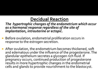Decidual Reaction
The hypertrophic changes of the endometrium which occur
as a hormonal response regardless of the site of
implantation, intrauterine or ectopic.
 Before ovulation, endometrial proliferation occurs in
response to the estrogen secretion.
 After ovulation, the endometrium becomes thickened, soft
and edematous under the influence of the progesterone.The
glandular epithelium secretes a glycogen rich fluid. If
pregnancy occurs, continued production of progesterone
results in more hypertrophic changes in the endometrial
cells and glands to provide nourishment to the blastocyst.
 