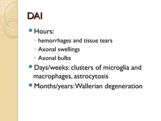 DAIDAI
Hours:
◦ hemorrhages and tissue tears
◦ Axonal swellings
◦ Axonal bulbs
Days/weeks: clusters of microglia and
macrophages, astrocytosis
Months/years:Wallerian degeneration
 