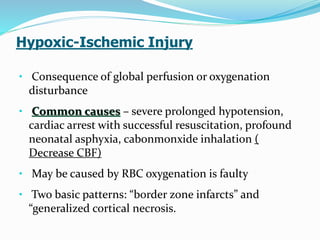 Hypoxic-Ischemic Injury
• Consequence of global perfusion or oxygenation
disturbance
• Common causes – severe prolonged hypotension,
cardiac arrest with successful resuscitation, profound
neonatal asphyxia, cabonmonxide inhalation (
Decrease CBF)
• May be caused by RBC oxygenation is faulty
• Two basic patterns: “border zone infarcts” and
“generalized cortical necrosis.
 