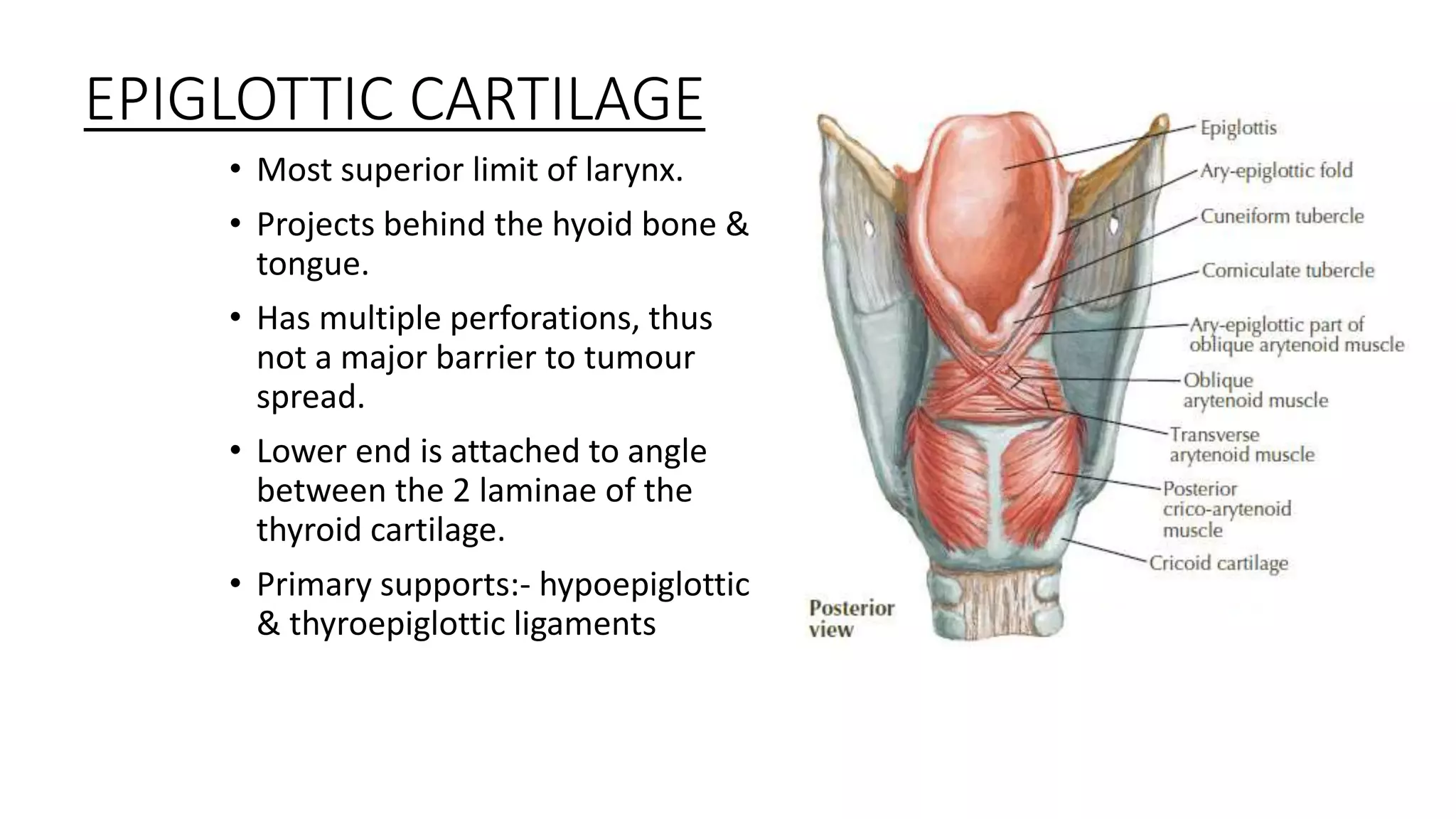 Imaging in laryngeal malignancy | PPTX