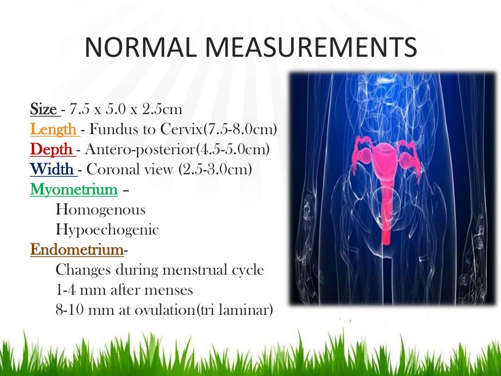 Imaging in obstetrics & gynaecology (part 1 Gynaecological scans in