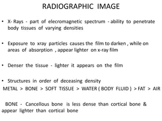 RADIOGRAPHIC IMAGE
• X- Rays - part of elecromagnetic spectrum - ability to penetrate
body tissues of varying densities
• Exposure to xray particles causes the film to darken , while on
areas of absorption , appear lighter on x-ray film
• Denser the tissue - lighter it appears on the film
• Structures in order of deceasing density
METAL > BONE > SOFT TISSUE > WATER ( BODY FLUID ) > FAT > AIR
BONE - Cancellous bone is less dense than cortical bone &
appear lighter than cortical bone
 
