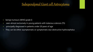 Subependymal Giant cell Astrocytoma
 benign tumours (WHO grade I)
 seen almost exclusively in young patients with tuberous sclerosis (TS)
 principally diagnosed in patients under 20 years of age
 They can be either asymptomatic or symptomatic due obstructive hydrocephalus
 