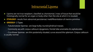 Intracranial Lipoma
 Lipoma are not true neoplasm, classified as choristomas ( mass of tissue that would be
histologically normal for an organ or body other than the site at which it is located)
 ETIOLOGY- results from abnormal persistense/ maldifferentiation of meninx primitiva
 GROSSLY- 2 Types
- Tubulonodular lipomas- are large bulky round/cylindrical masses.
Commonly ass.with corpus callosum dysgenesis, frontal lobe anomalies & cephaloceles
- Curvilinear lipomas- are thin posteriorly situated, curve around the splenium. Corpus callosum
is usually normal.
 