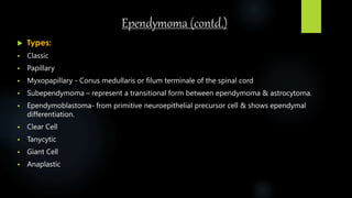 Ependymoma (contd.)
 Types:
 Classic
 Papillary
 Myxopapillary - Conus medullaris or filum terminale of the spinal cord
 Subependymoma – represent a transitional form between ependymoma & astrocytoma.
 Ependymoblastoma- from primitive neuroepithelial precursor cell & shows ependymal
differentiation.
 Clear Cell
 Tanycytic
 Giant Cell
 Anaplastic
 