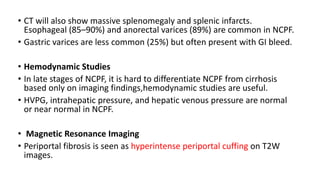 • CT will also show massive splenomegaly and splenic infarcts.
Esophageal (85–90%) and anorectal varices (89%) are common in NCPF.
• Gastric varices are less common (25%) but often present with GI bleed.
• Hemodynamic Studies
• In late stages of NCPF, it is hard to differentiate NCPF from cirrhosis
based only on imaging findings,hemodynamic studies are useful.
• HVPG, intrahepatic pressure, and hepatic venous pressure are normal
or near normal in NCPF.
• Magnetic Resonance Imaging
• Periportal fibrosis is seen as hyperintense periportal cuffing on T2W
images.
 