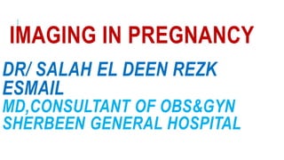 IMAGING IN PREGNANCY
DR/ SALAH EL DEEN REZK
ESMAIL
MD,CONSULTANT OF OBS&GYN
SHERBEEN GENERAL HOSPITAL
 