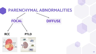 PARENCHYMAL ABNORMALITIES
FOCAL
44
DIFFUSE
RCC PTLD
 
