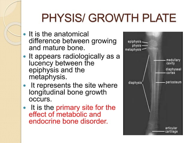 Imaging in Rickets & Scurvy.pptx