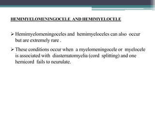 HEMIMYELOMENINGOCELE AND HEMIMYELOCELE
 Hemimyelomeningoceles and hemimyeloceles can also occur
but are extremely rare .
 These conditions occur when a myelomeningocele or myelocele
is associated with diastematomyelia (cord splitting) and one
hemicord fails to neurulate.
 