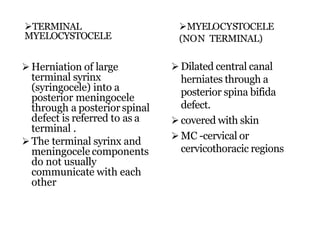 TERMINAL
MYELOCYSTOCELE
MYELOCYSTOCELE
(NON TERMINAL)
 Herniation of large
terminal syrinx
(syringocele) into a
posterior meningocele
through a posterior spinal
defect is referred to as a
terminal .
 The terminal syrinx and
meningocele components
do not usually
communicate with each
other
 Dilated central canal
herniates through a
posterior spina bifida
defect.
 covered with skin
 MC -cervical or
cervicothoracic regions
 