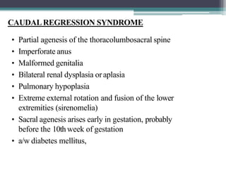 CAUDALREGRESSION SYNDROME
• Partial agenesis of the thoracolumbosacral spine
• Imperforate anus
• Malformed genitalia
• Bilateral renal dysplasia or aplasia
• Pulmonary hypoplasia
• Extreme external rotation and fusion of the lower
extremities (sirenomelia)
• Sacral agenesis arises early in gestation, probably
before the 10th week of gestation
• a/w diabetes mellitus,
 