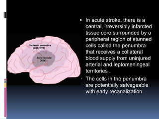  In acute stroke, there is a
central, irreversibly infarcted
tissue core surrounded by a
peripheral region of stunned
cells called the penumbra
that receives a collateral
blood supply from uninjured
arterial and leptomeningeal
territories .
 The cells in the penumbra
are potentially salvageable
with early recanalization.
 